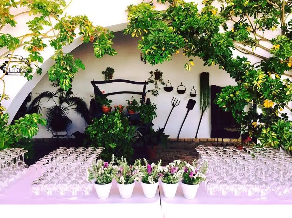 mesa cristaleria copas macetas flores bajo arco