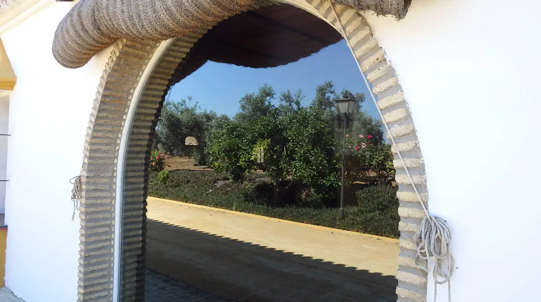 arco cuerda esparto vista olivar