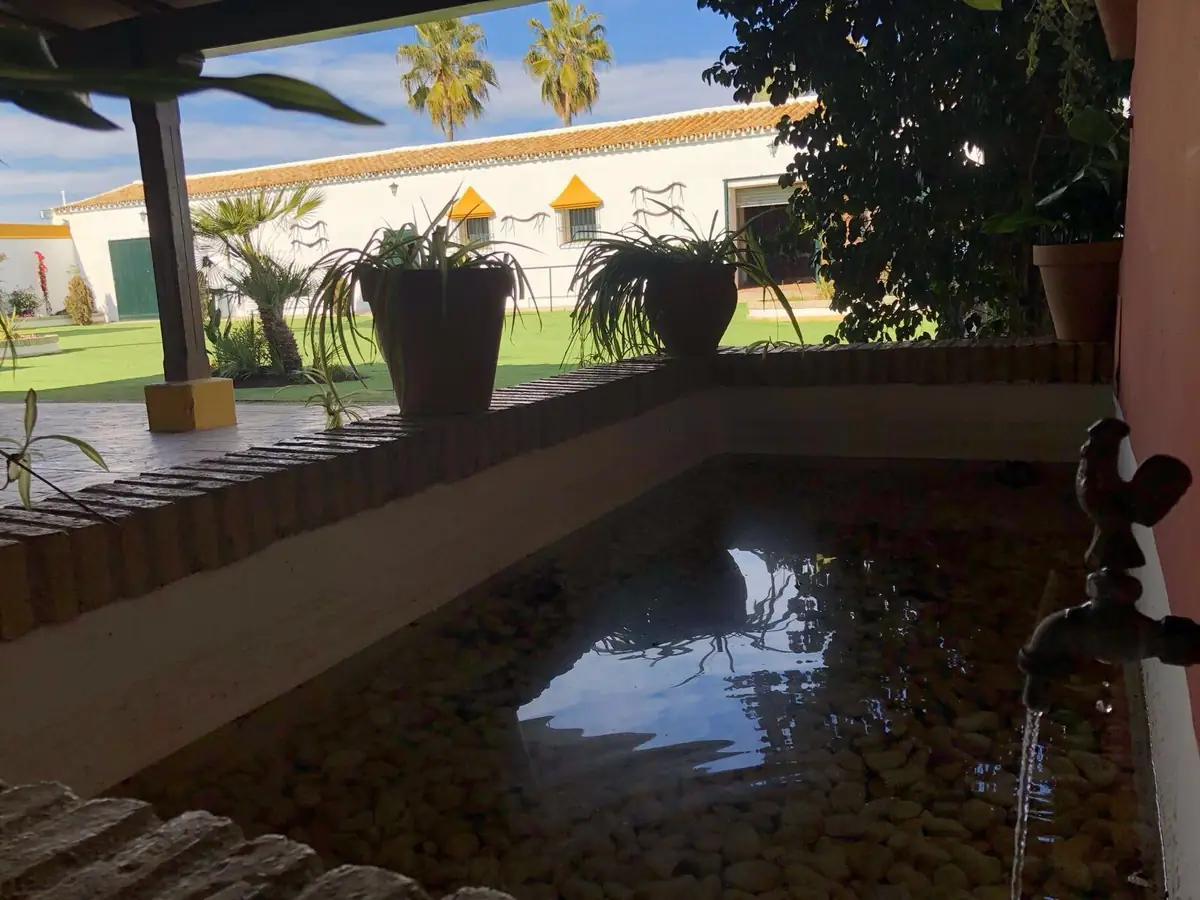 estanque guijarros vista jardin domas