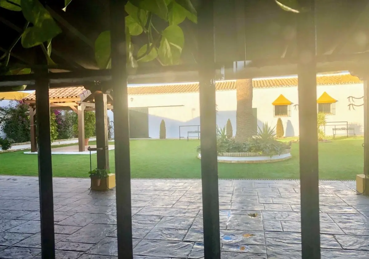 porche contraluz vista jardin domas atardecer