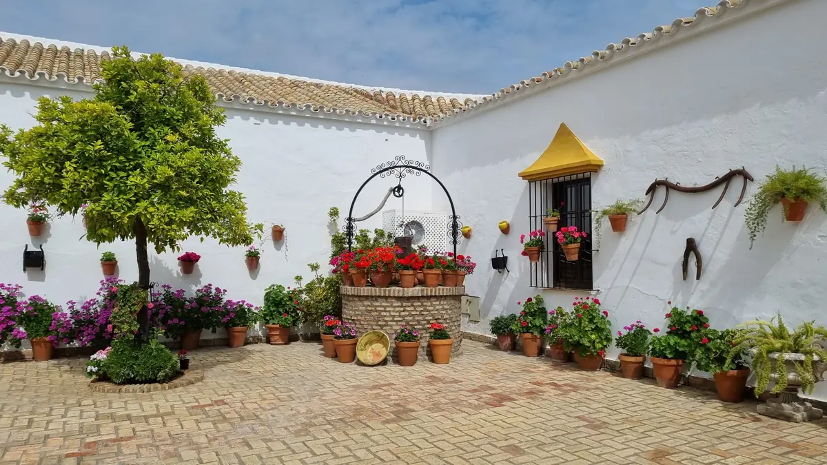 pozo flores geranios patio