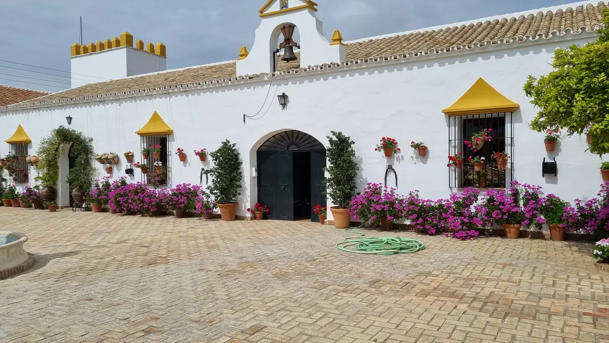 fachada espadana campana buganvilla