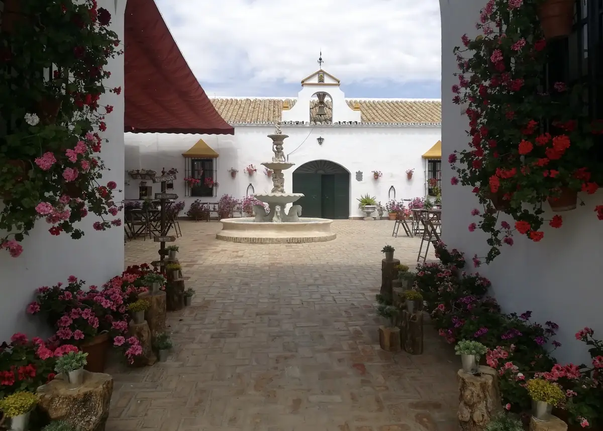 patio fuente nublado banquete montaje