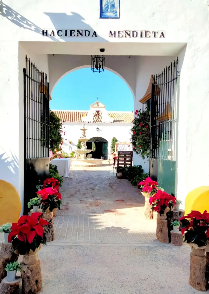entrada arco HACIENDA MENDIETA vista al patio