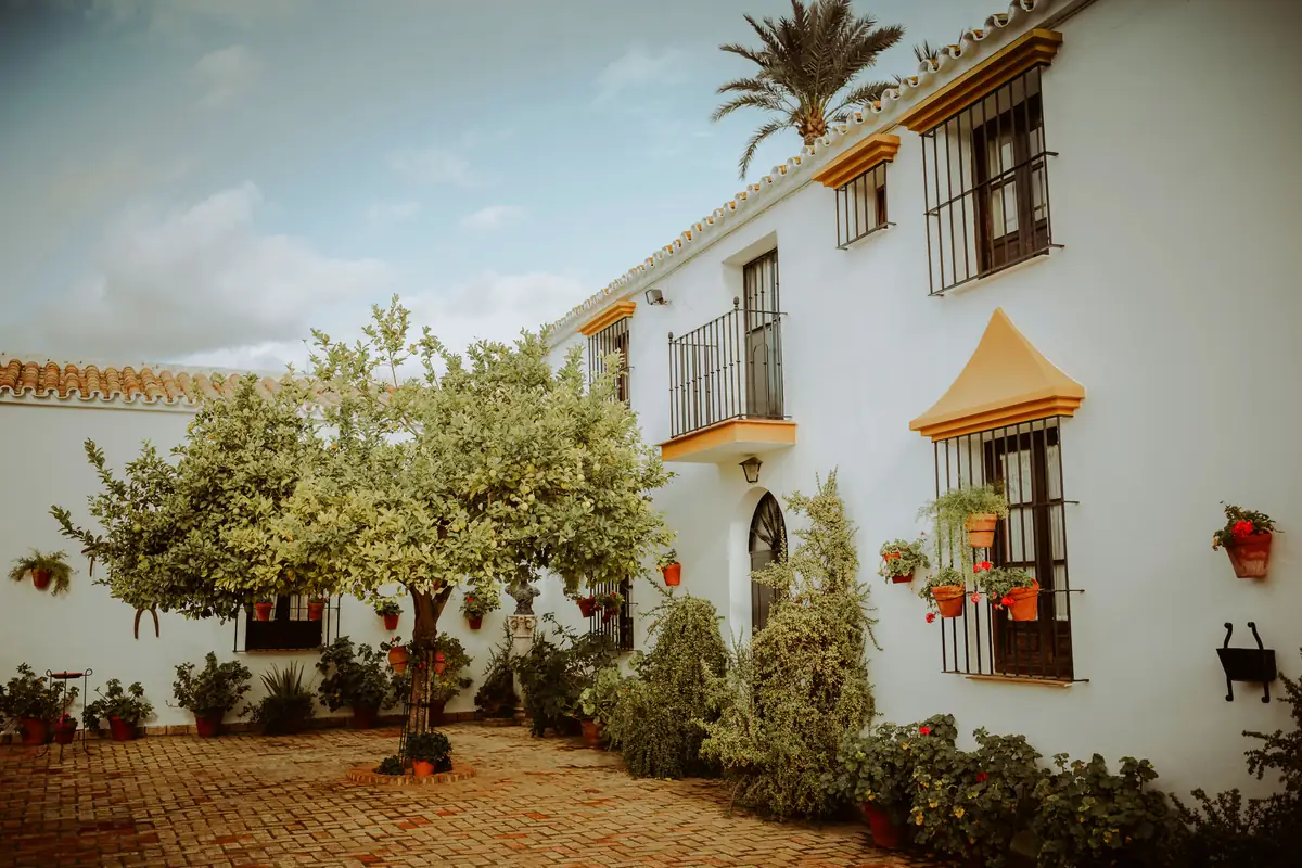 patio andaluz naranjos balcon arquitectura limpia