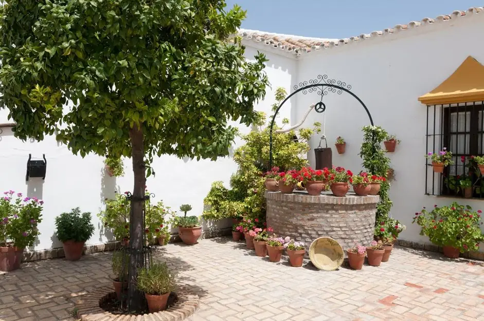 rincon patio pozo macetas arbol