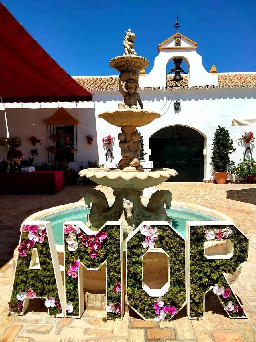 fuente letras AMOR musgo orquideas