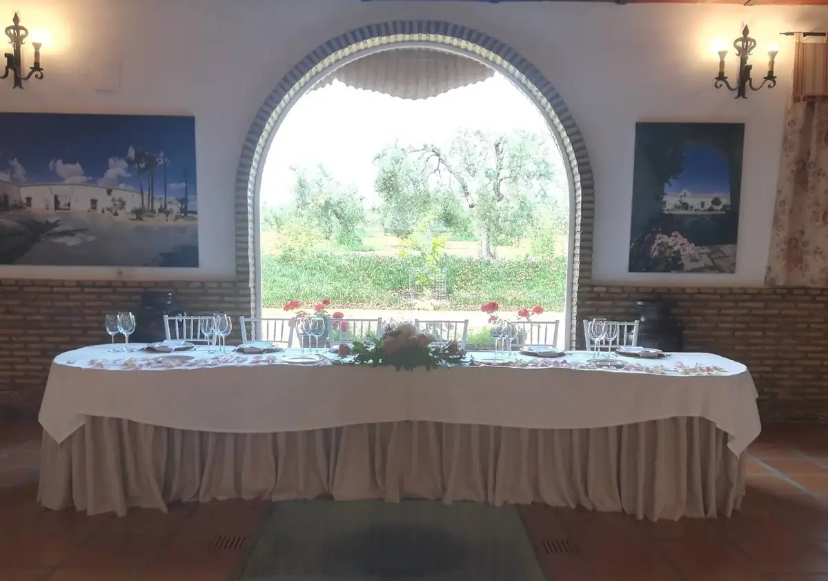 salon mesa presidencial vista arco olivar